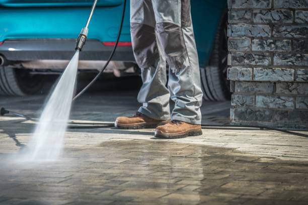 Best Patio and Deck Pressure Washing  in Blennerhassett, WV