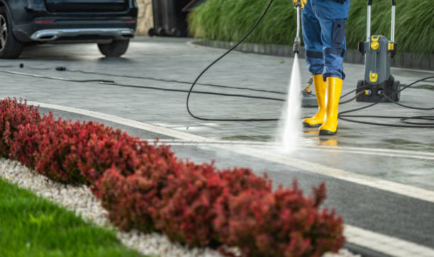 Best Boat and Dock Cleaning  in Blennerhassett, WV